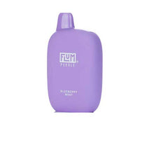 Blueberry Mint Flavored Flum Pebble 6000 Disposable Vape Device giving 6000 Puffs | everythingvapes.com - 1PC