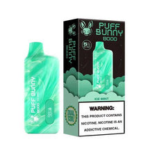 Ice Mint Flavored Puff Bunny 8000 Puffs Disposable Vape